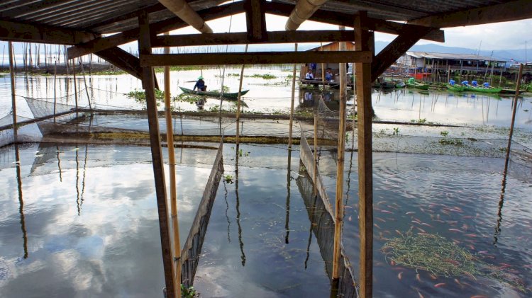 Potensi Ekonomi Desa Asinan Rawa Pening Rmol Jateng