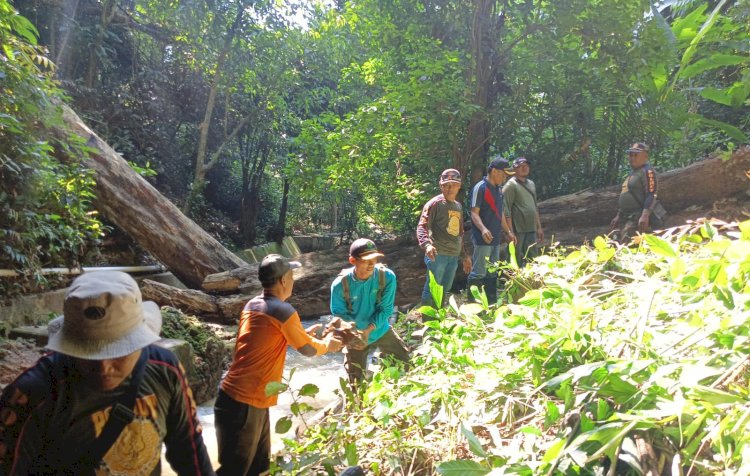 Perhutani Purwodadi Bersihkan Area Sumber Mata Air Sendang Ngesong