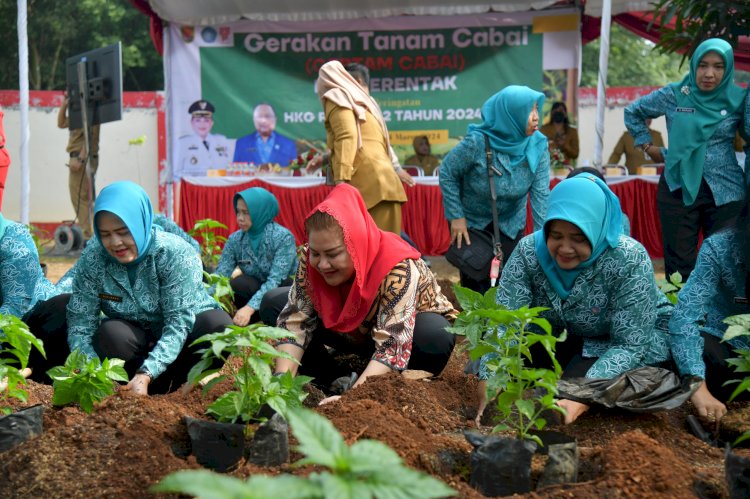 Wali Kota Semarang, Hevearita G Rahayu menanam lombok dan panem sayur selada di Urban Farming Kecamatan Mijen. Istimewa
