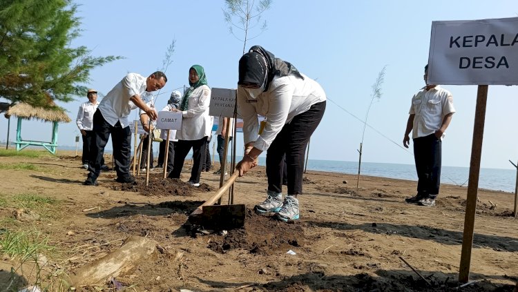 Kantor Pertanahan Batang menanam 100 cemara laut di Desa Kuripan, Kecamatan Subah, belum lama ini.