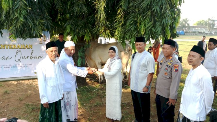 Pj Bupati Batang Lani Dwi Rejeki menyerahkan sapi kurban pada takmir masjid Agung Darul Muttaqin