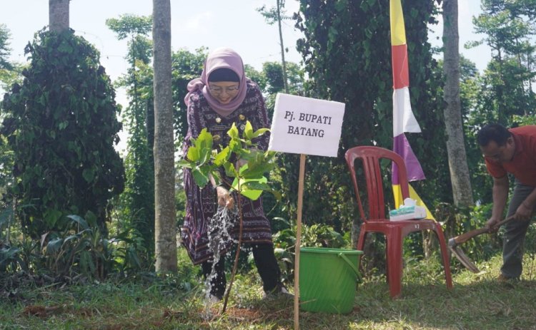 Pj Bupati Batang Lani Dwi Rejeki menanam pohon di Hari Lingkungan Hidup Sedunia, di Desa Tombo, Kecamatan Bandar, Kabupaten Batang, Kamis (27/6).
