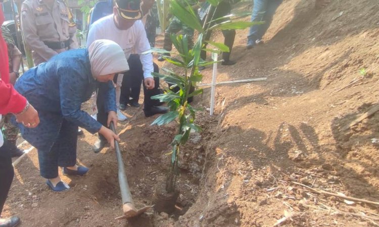 Bupati Yuli Hastuti melakukan penanaman pohon dalam puncak peringatan Hari Lingkungan Hidup Sedunia tingkat Kabupaten Purworejo di Desa Sidorejo, Kecamatan Purworejo. Budi Agung/RMOLJateng
