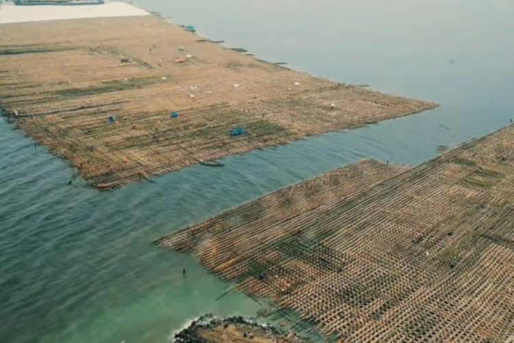 Pengamat Jalan Tol Semarang Demak Bisa Jadi Simbol Kemajuan Infrastruktur Ramah Lingkungan